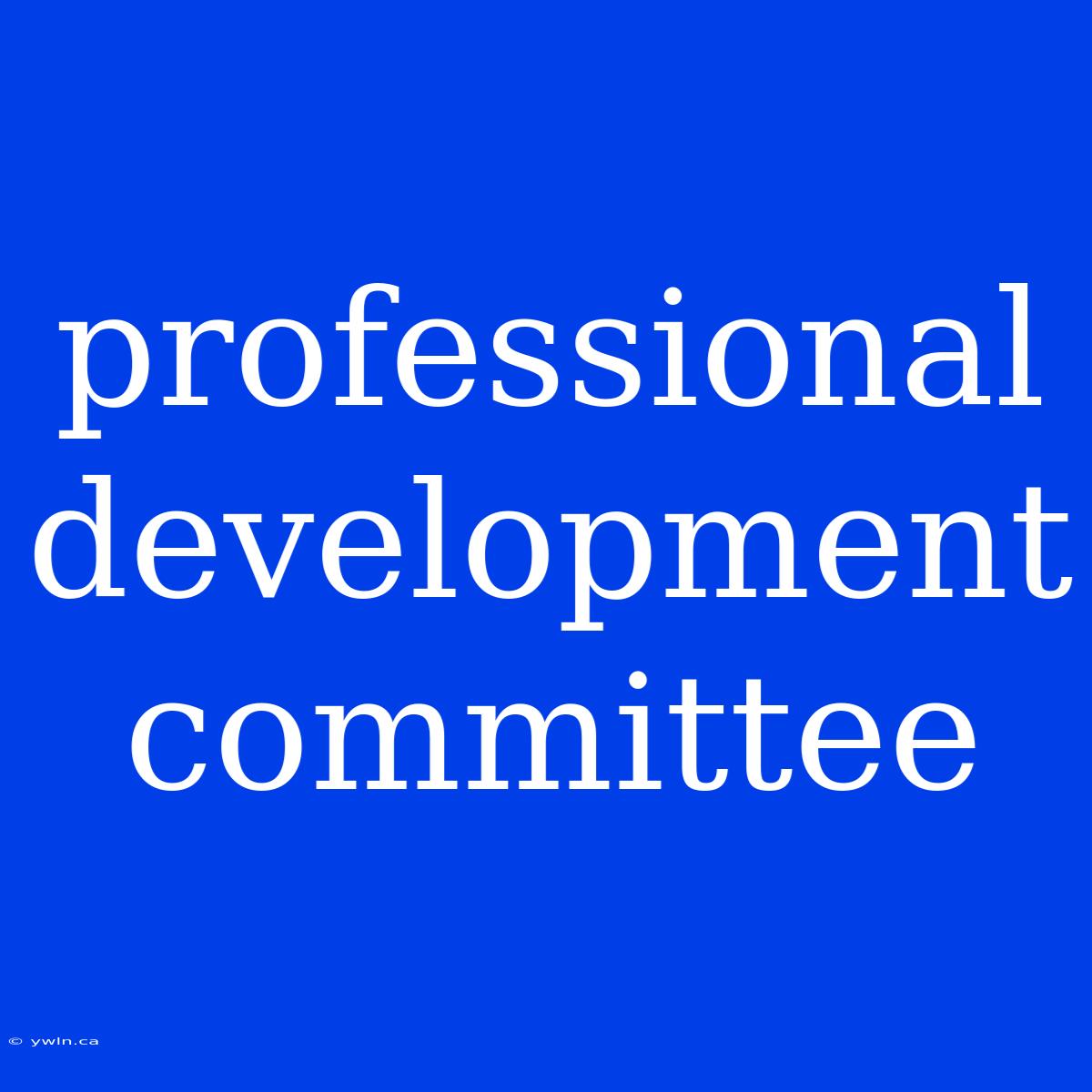 Professional Development Committee