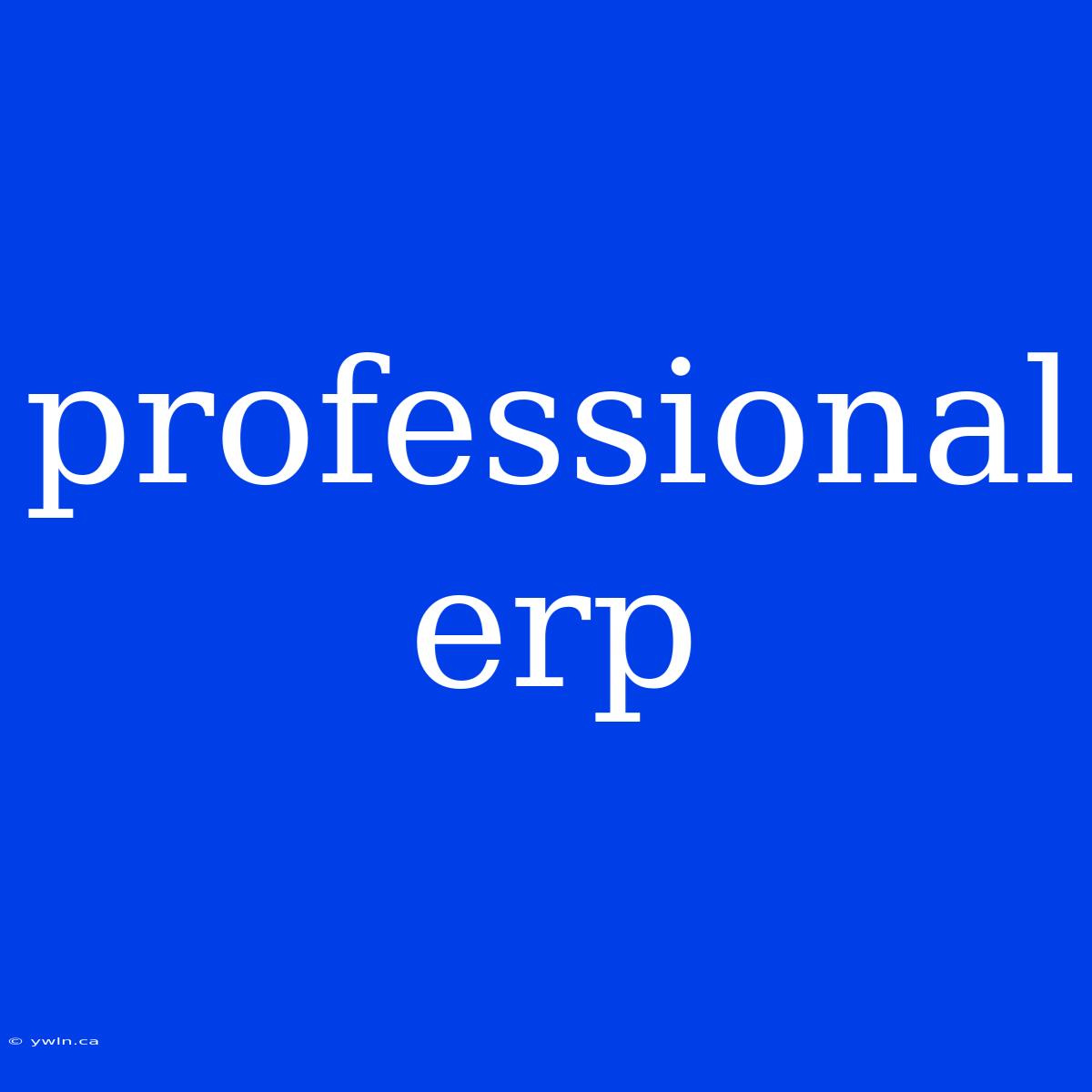 Professional Erp