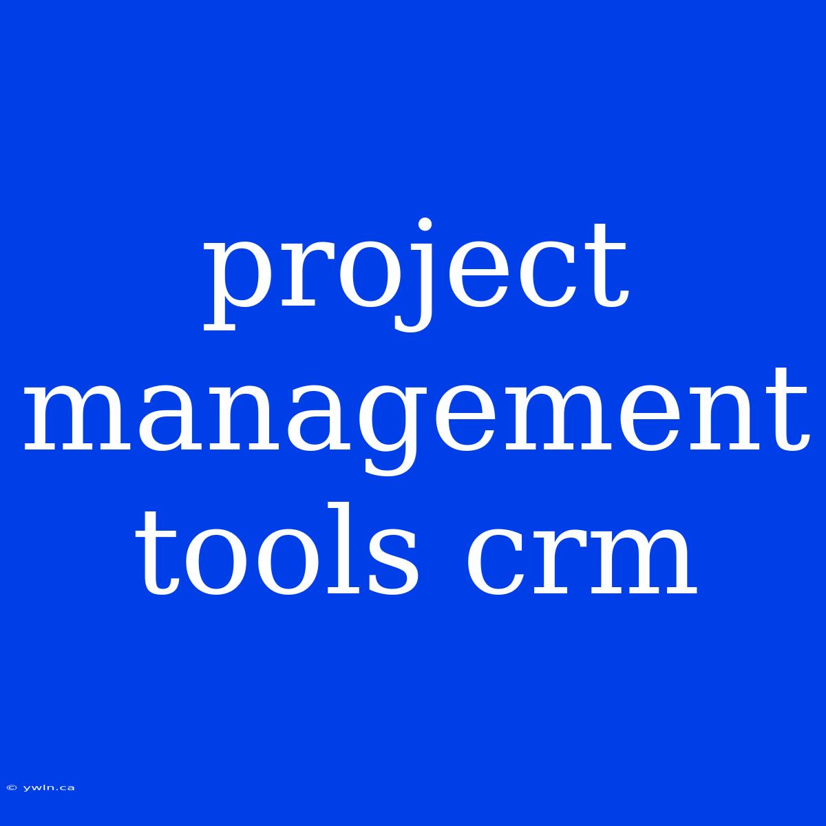 Project Management Tools Crm