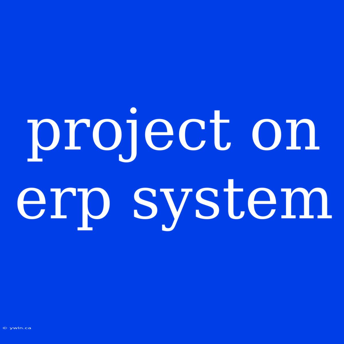 Project On Erp System