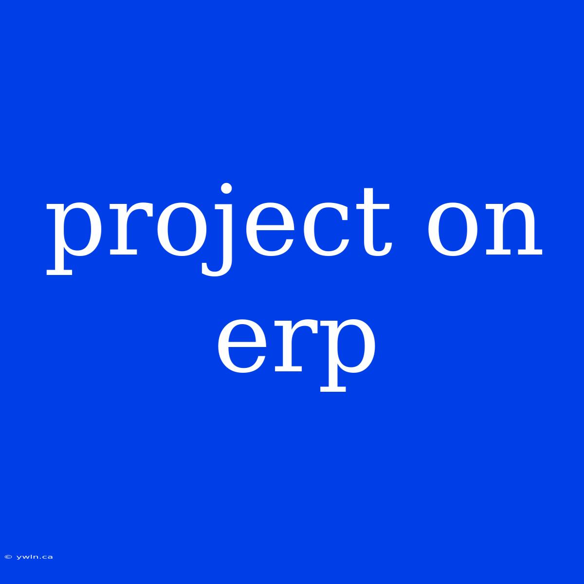 Project On Erp