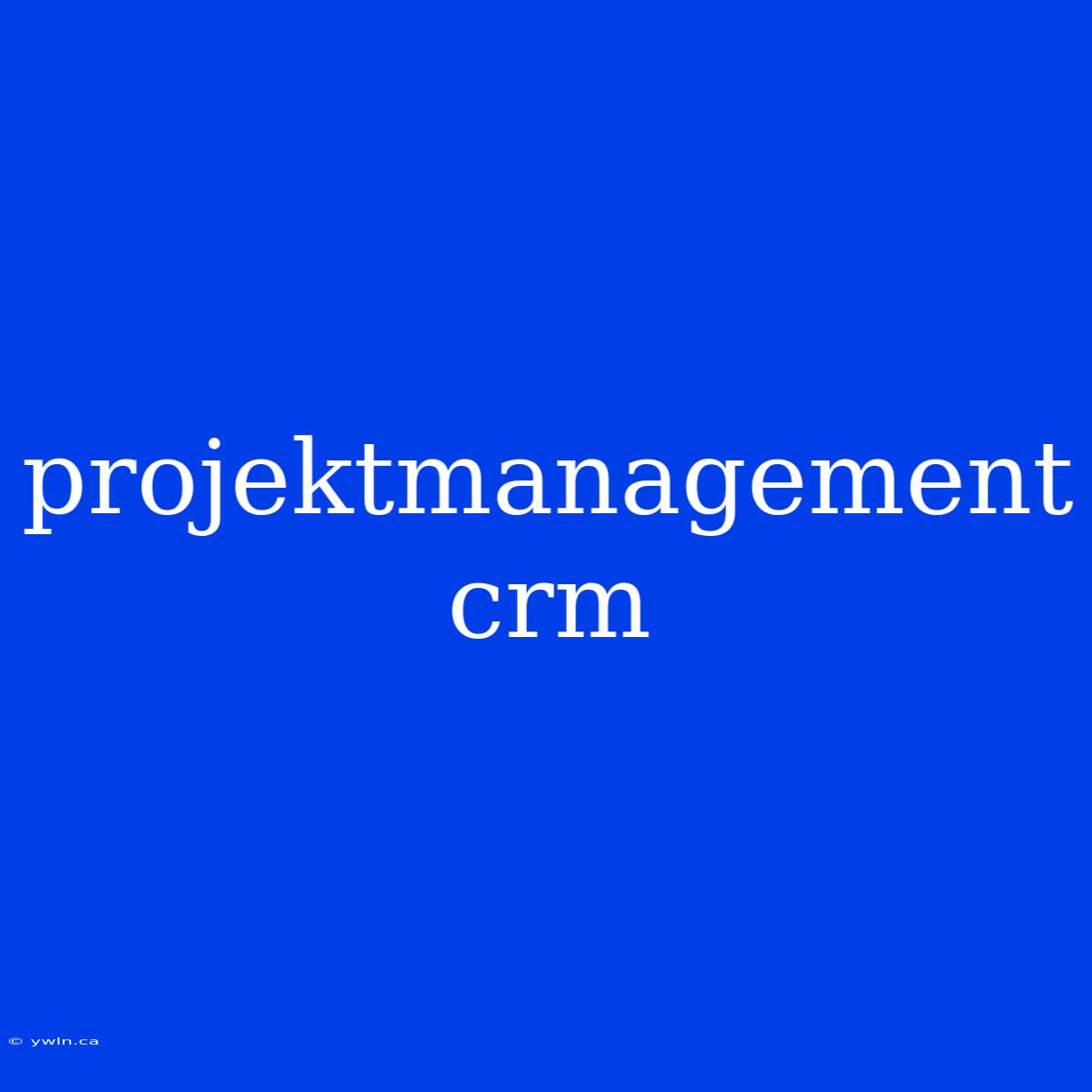 Projektmanagement Crm