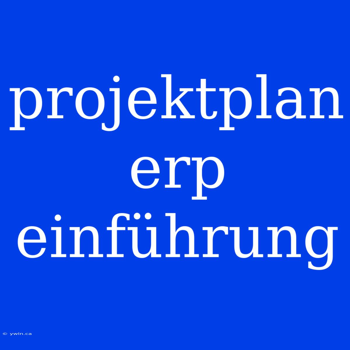 Projektplan Erp Einführung