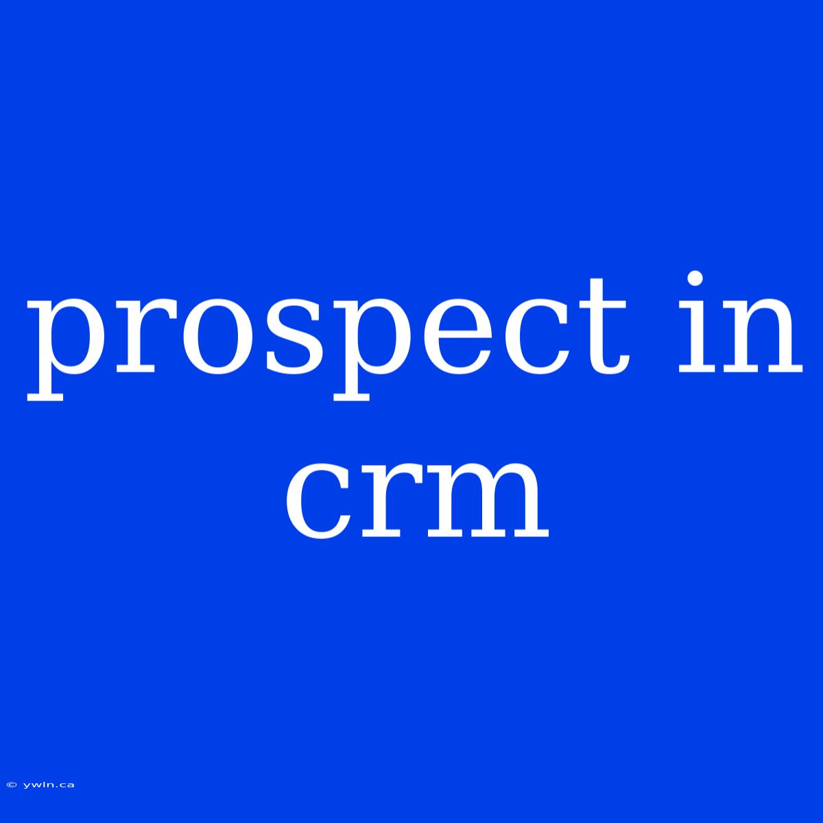 Prospect In Crm