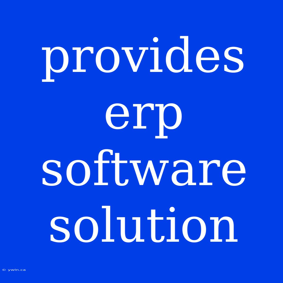 Provides Erp Software Solution