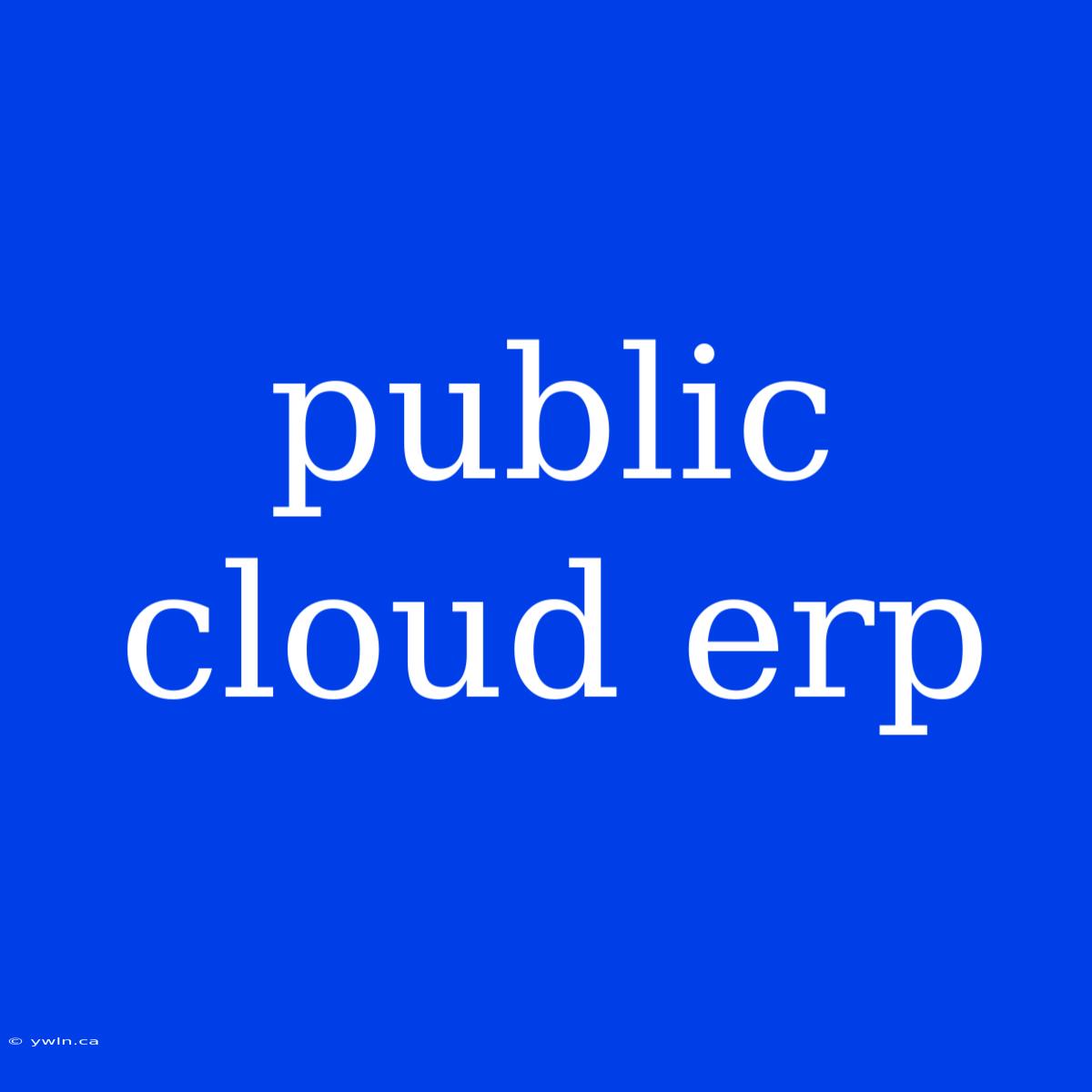 Public Cloud Erp