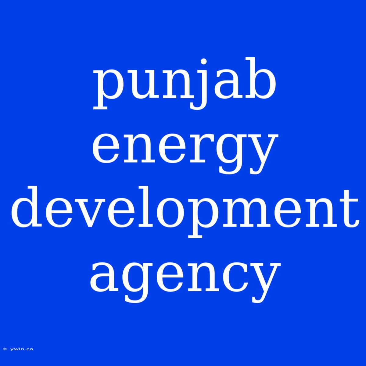 Punjab Energy Development Agency