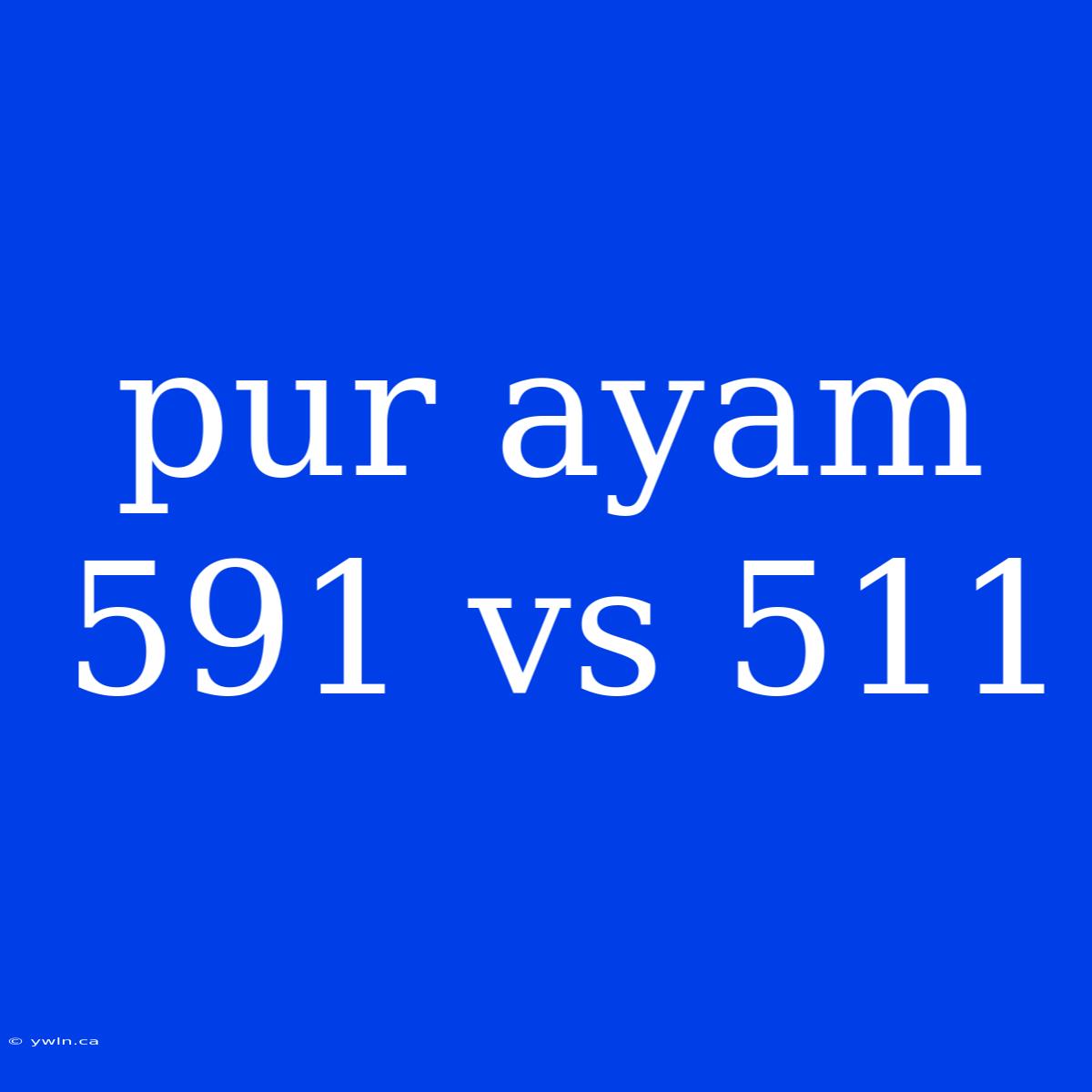 Pur Ayam 591 Vs 511