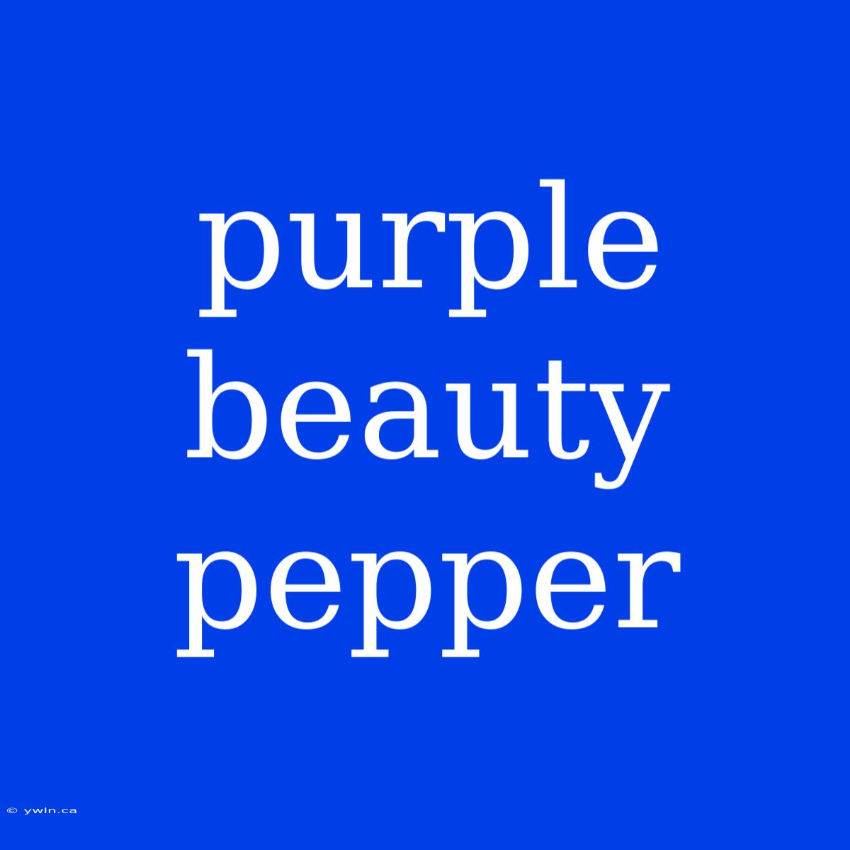 Purple Beauty Pepper