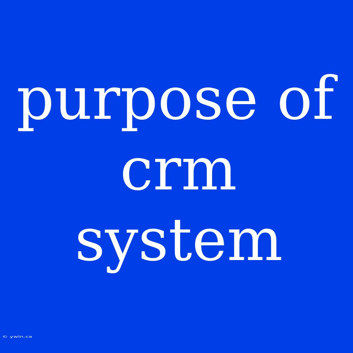 Purpose Of Crm System