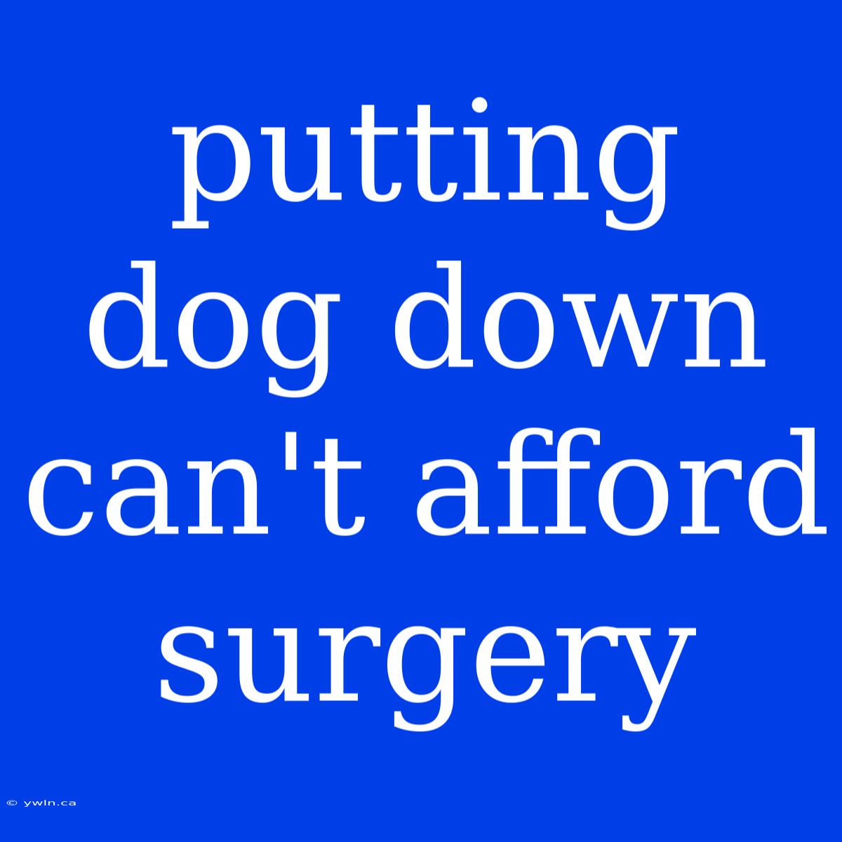 Putting Dog Down Can't Afford Surgery