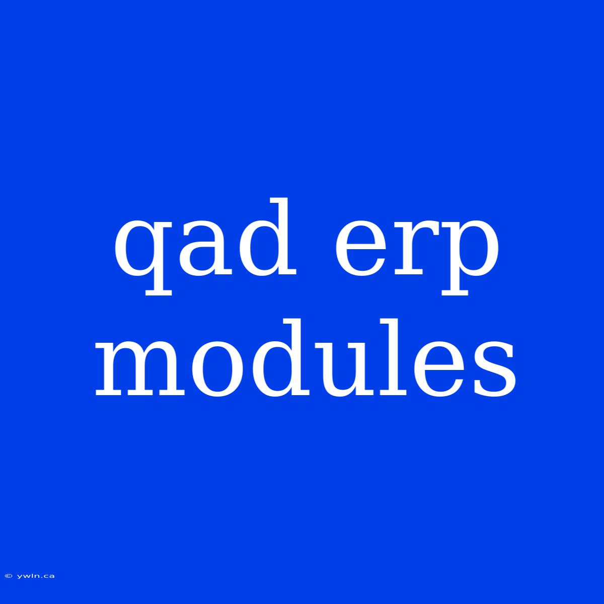 Qad Erp Modules