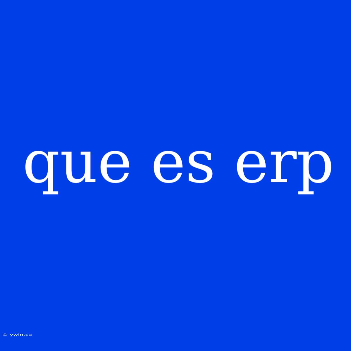 Que Es Erp