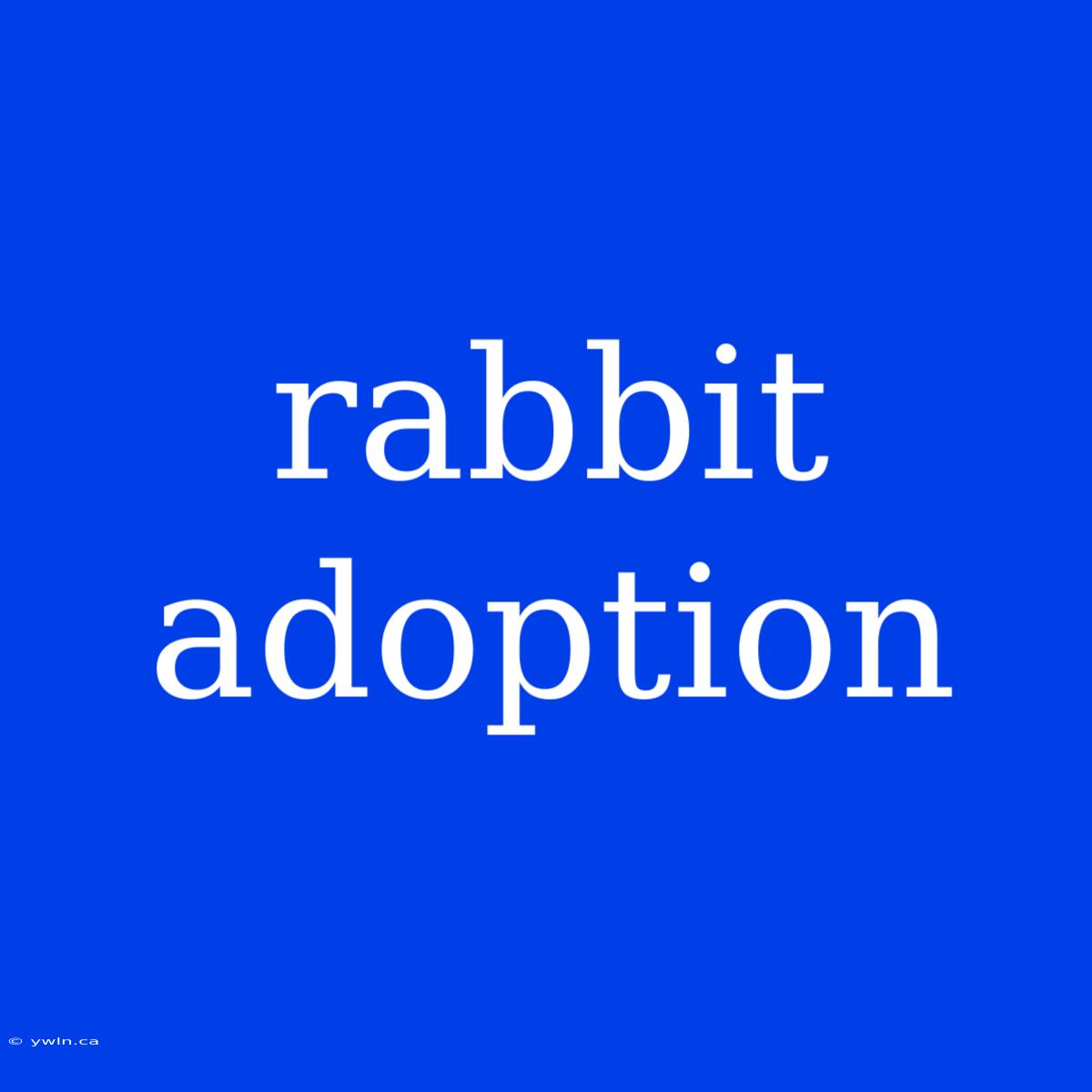 Rabbit Adoption