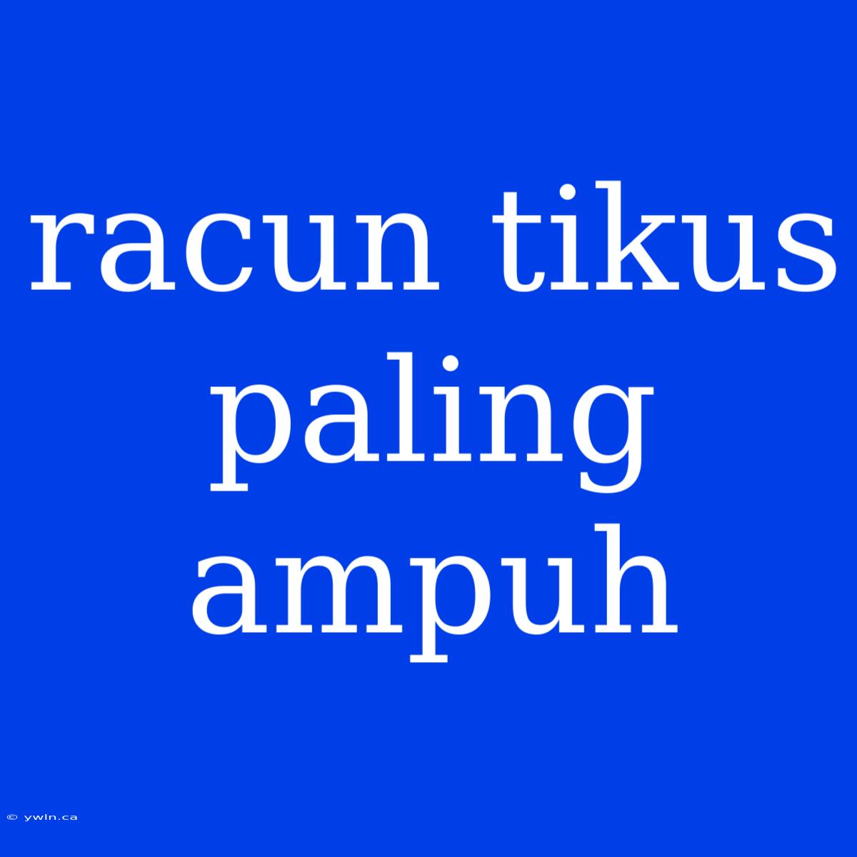 Racun Tikus Paling Ampuh