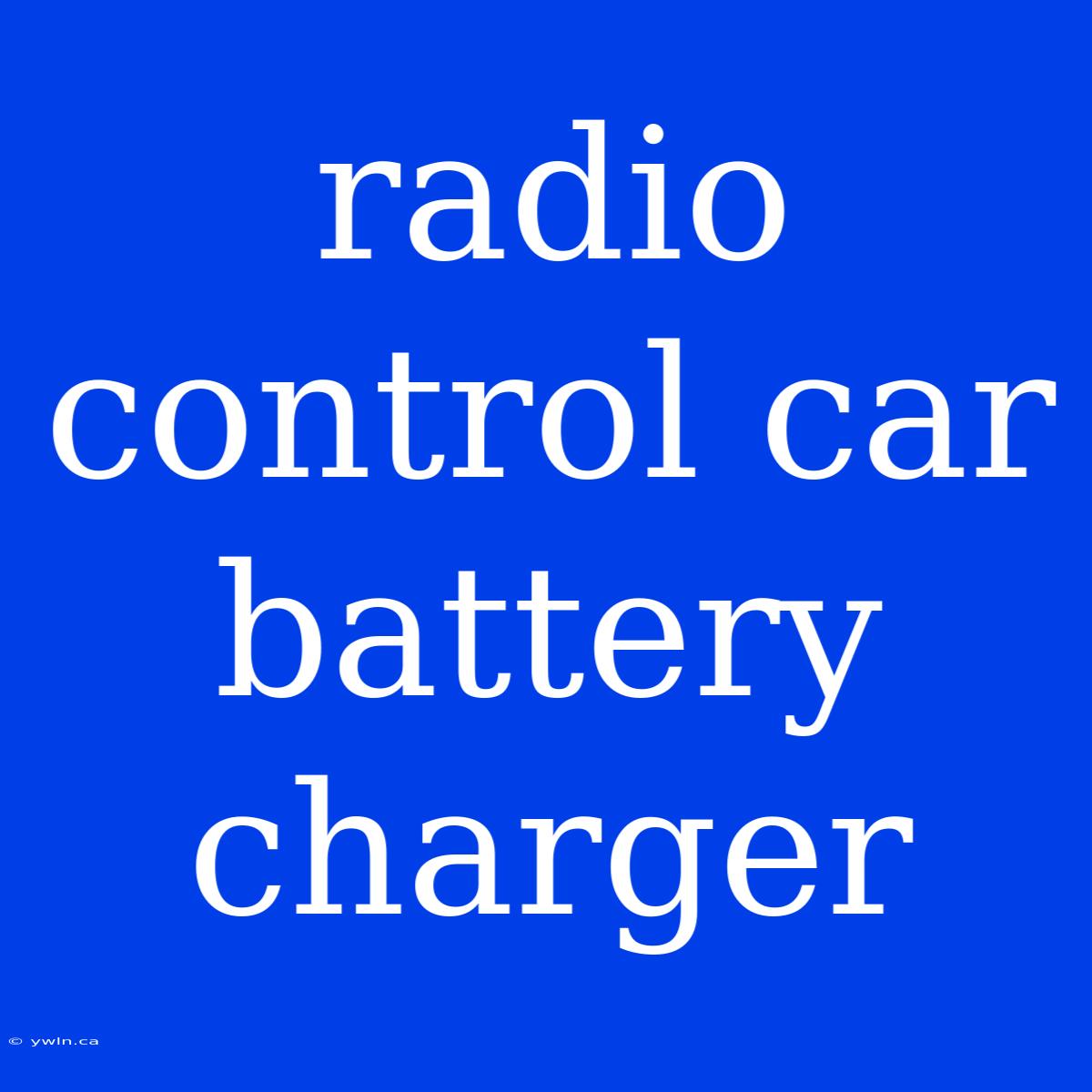 Radio Control Car Battery Charger