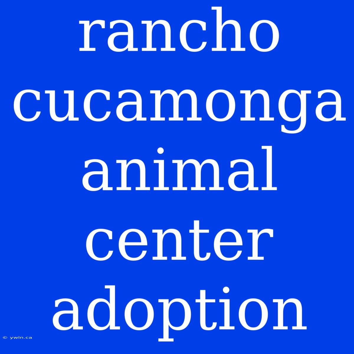 Rancho Cucamonga Animal Center Adoption