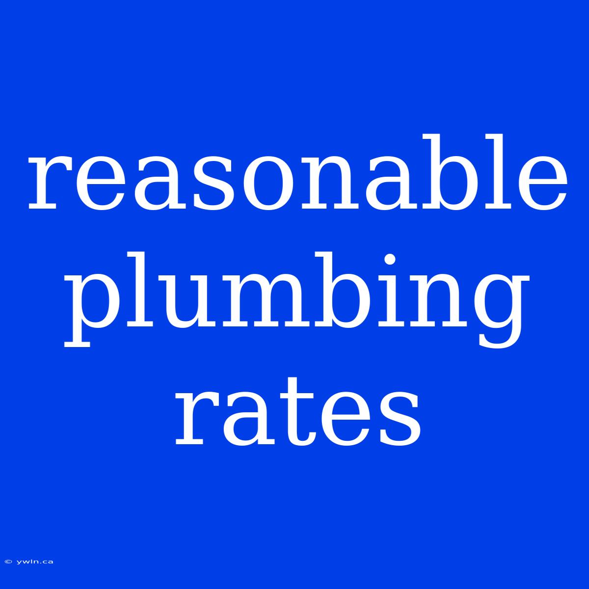 Reasonable Plumbing Rates