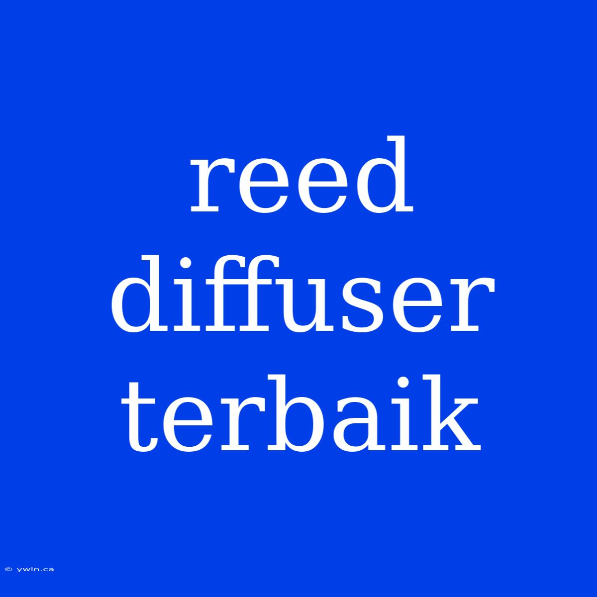 Reed Diffuser Terbaik