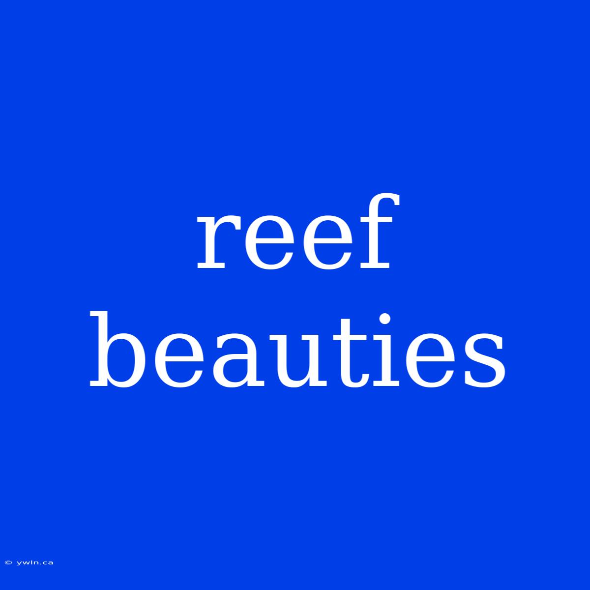 Reef Beauties