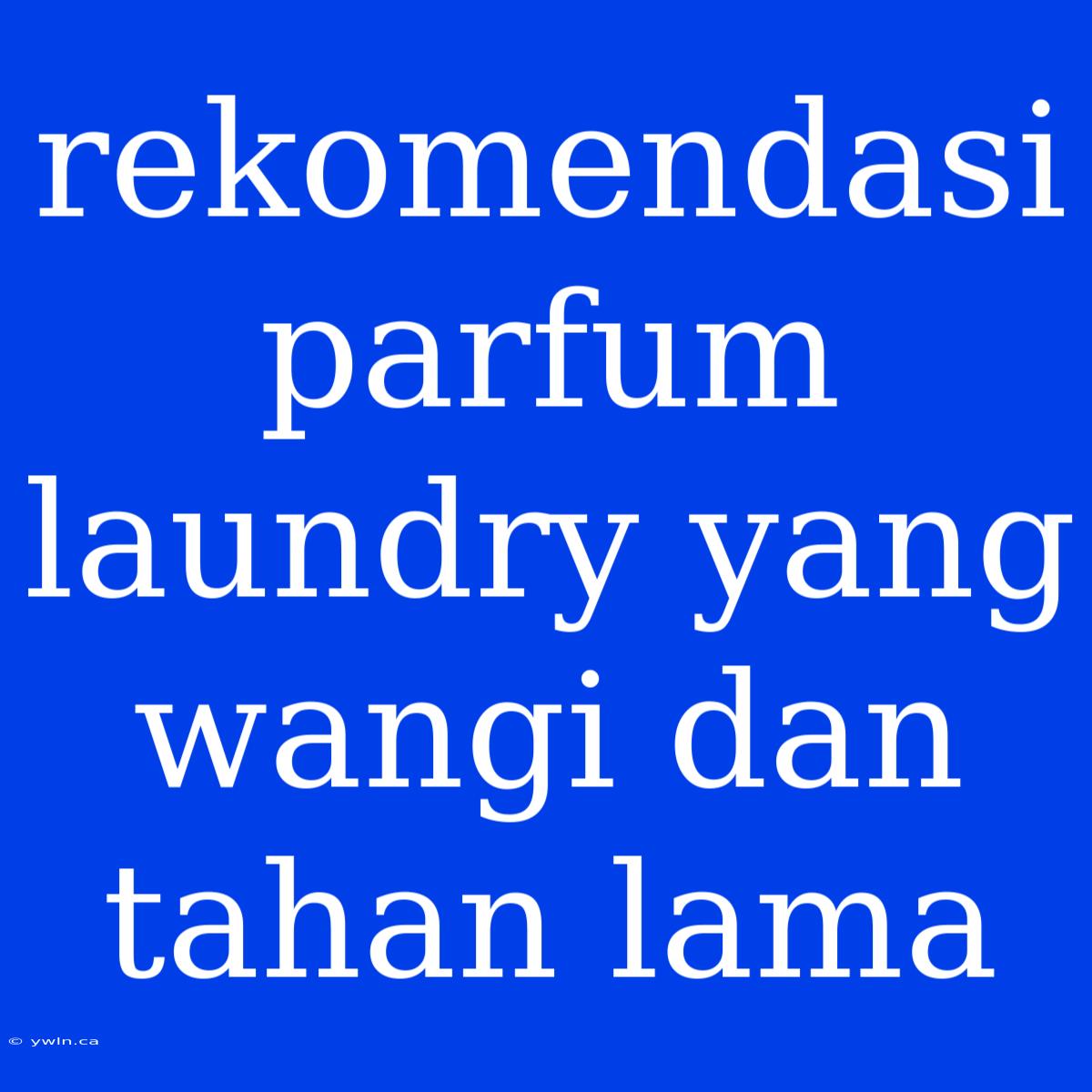 Rekomendasi Parfum Laundry Yang Wangi Dan Tahan Lama