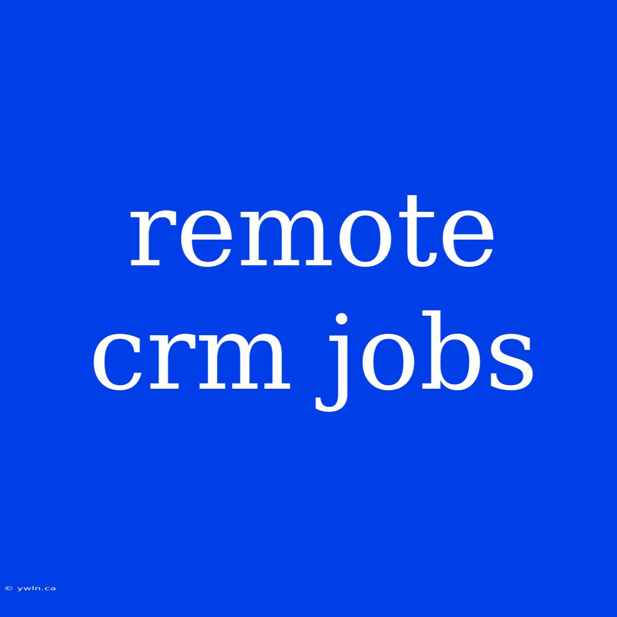 Remote Crm Jobs