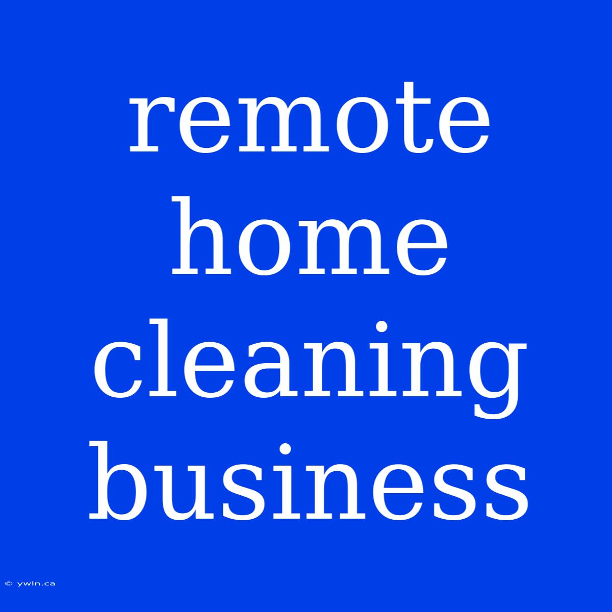 Remote Home Cleaning Business