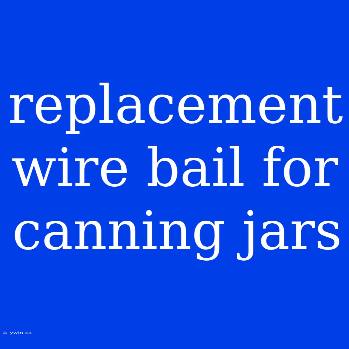 Replacement Wire Bail For Canning Jars