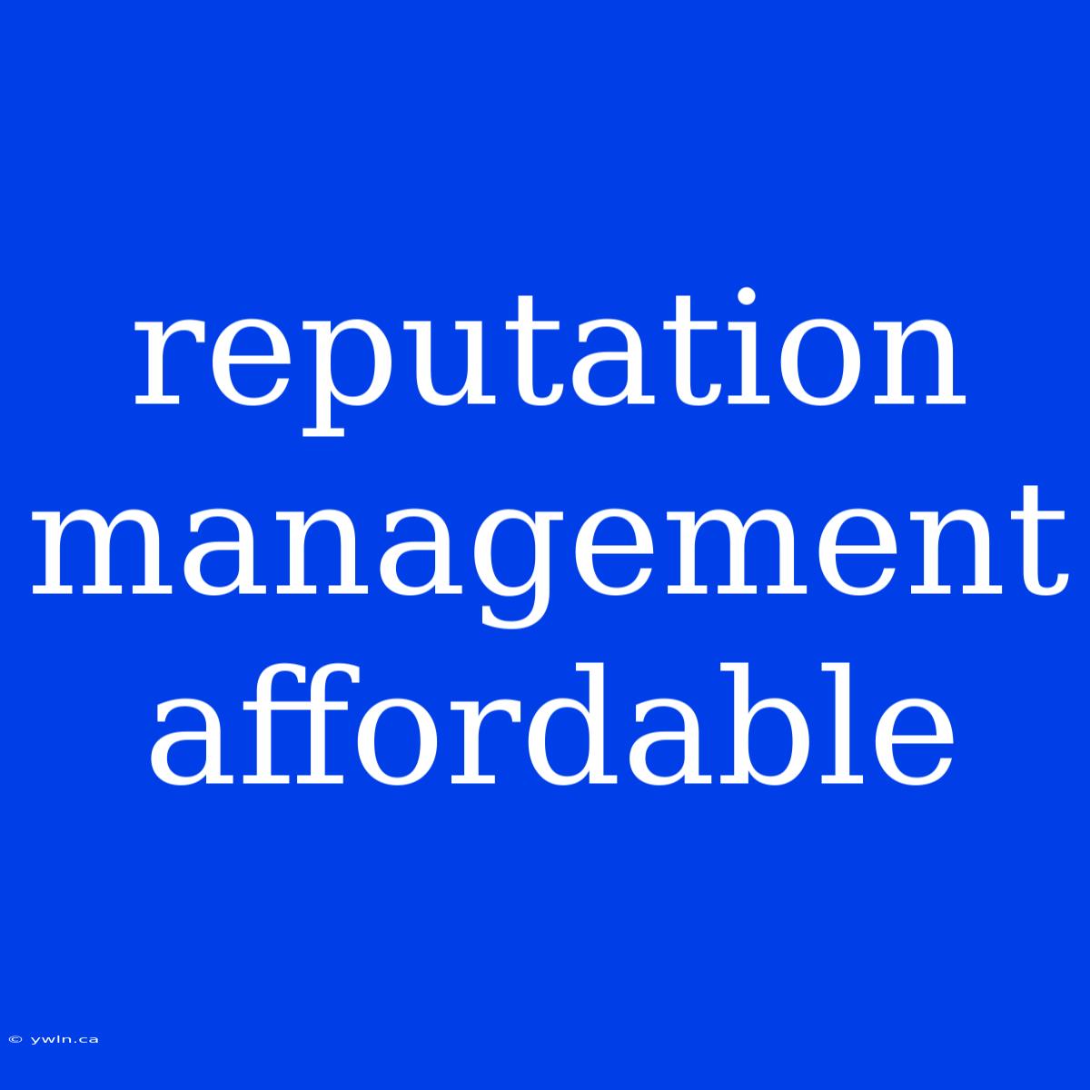 Reputation Management Affordable