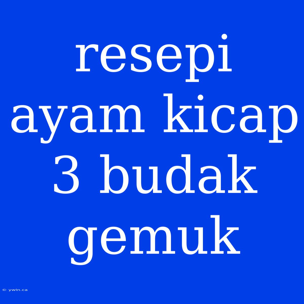 Resepi Ayam Kicap 3 Budak Gemuk