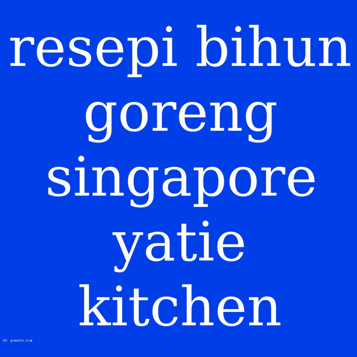 Resepi Bihun Goreng Singapore Yatie Kitchen