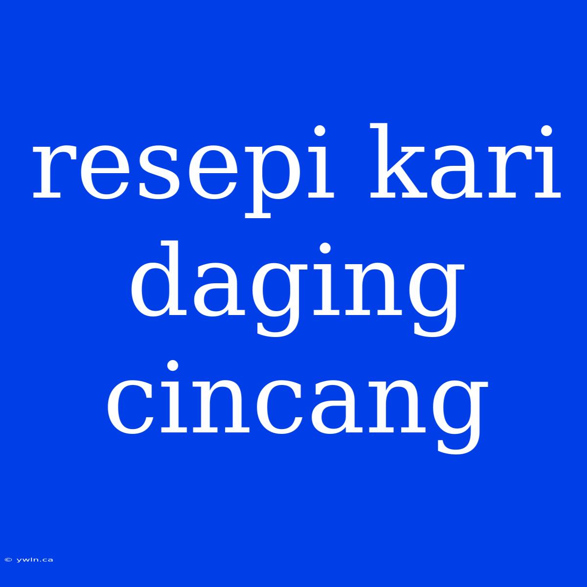 Resepi Kari Daging Cincang