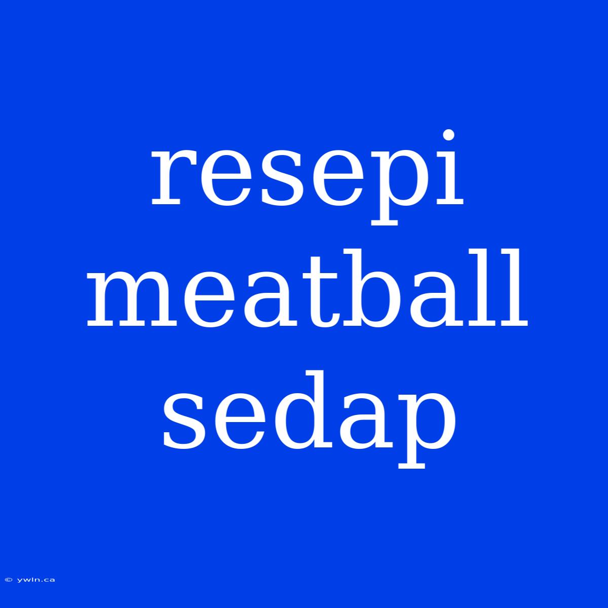 Resepi Meatball Sedap