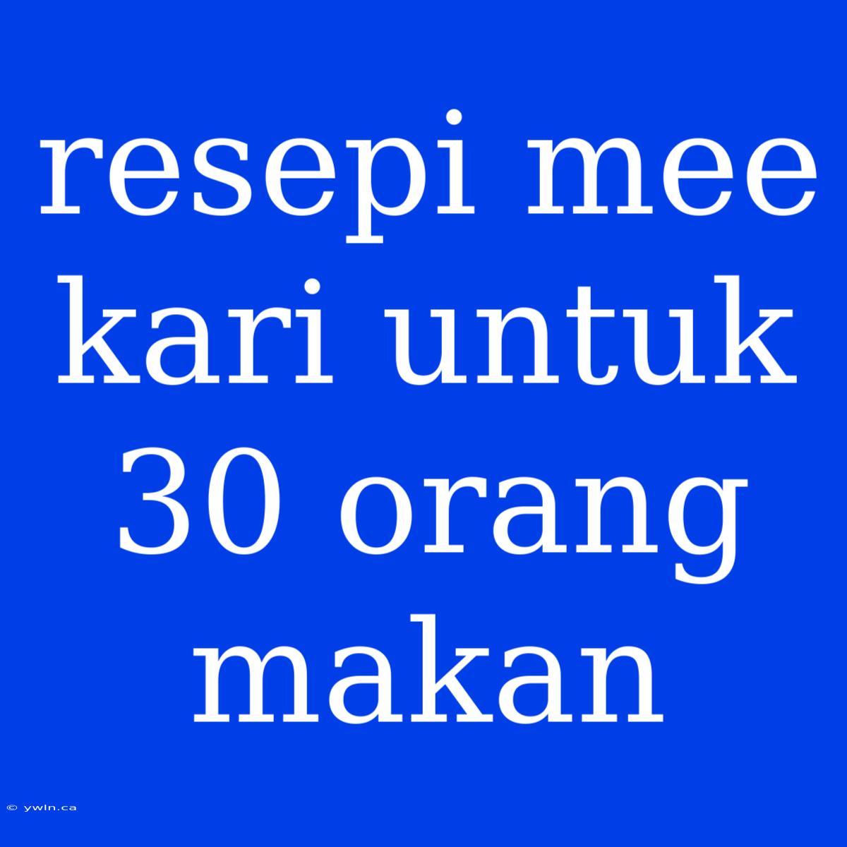 Resepi Mee Kari Untuk 30 Orang Makan