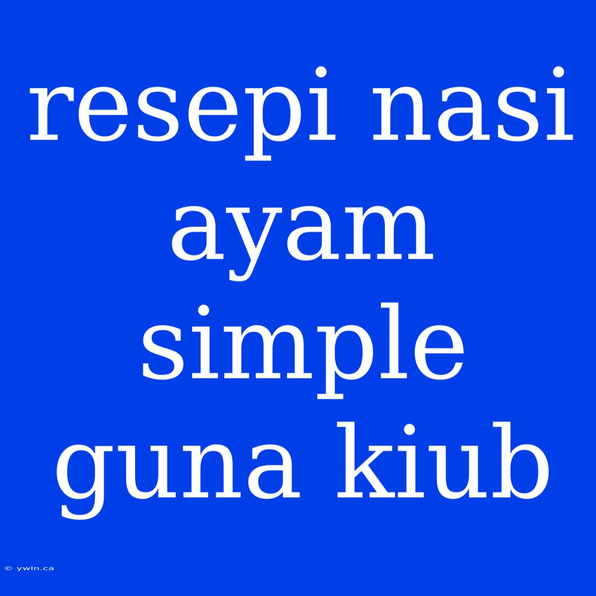 Resepi Nasi Ayam Simple Guna Kiub