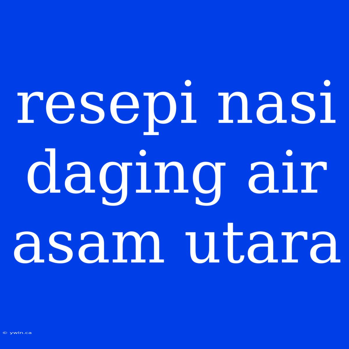 Resepi Nasi Daging Air Asam Utara