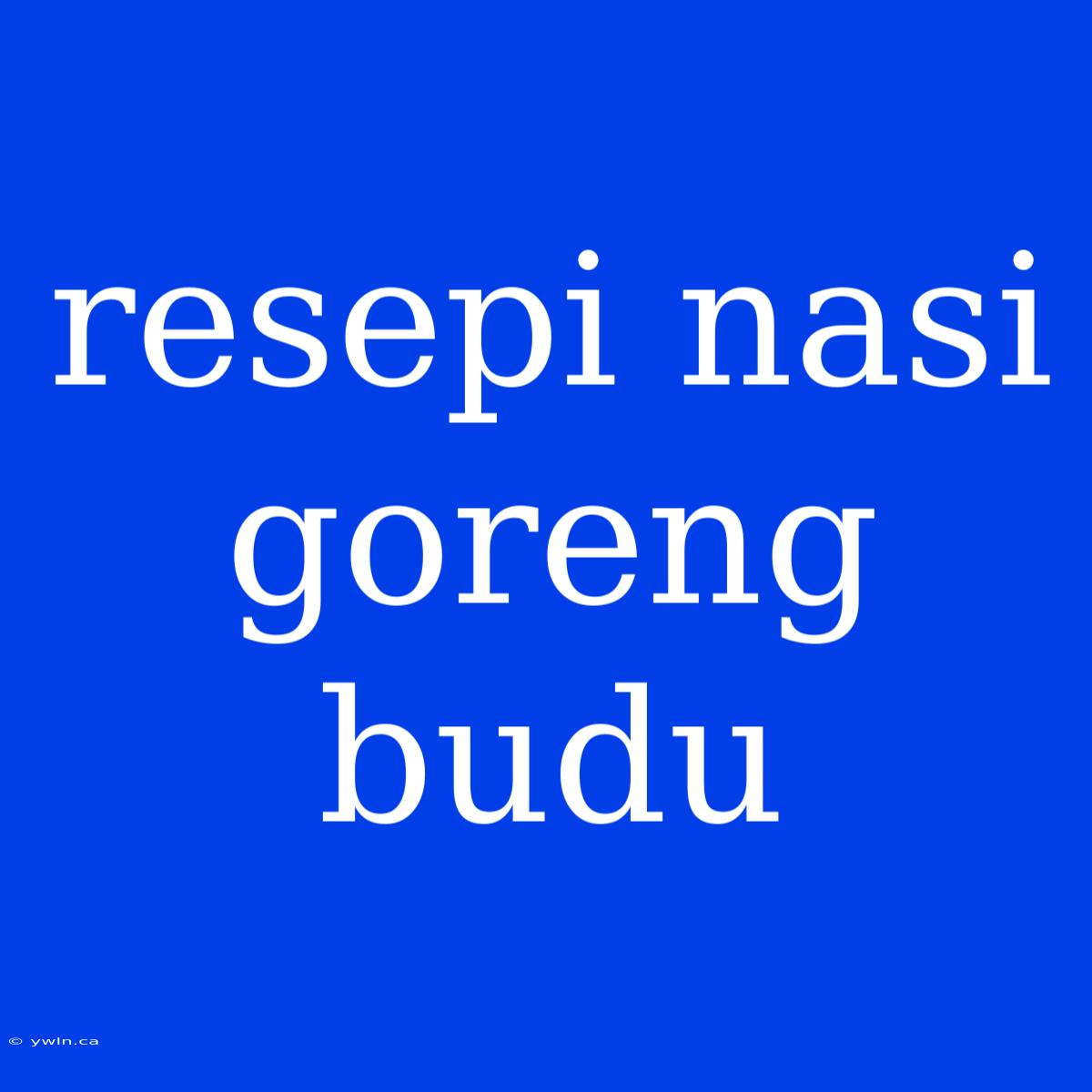 Resepi Nasi Goreng Budu