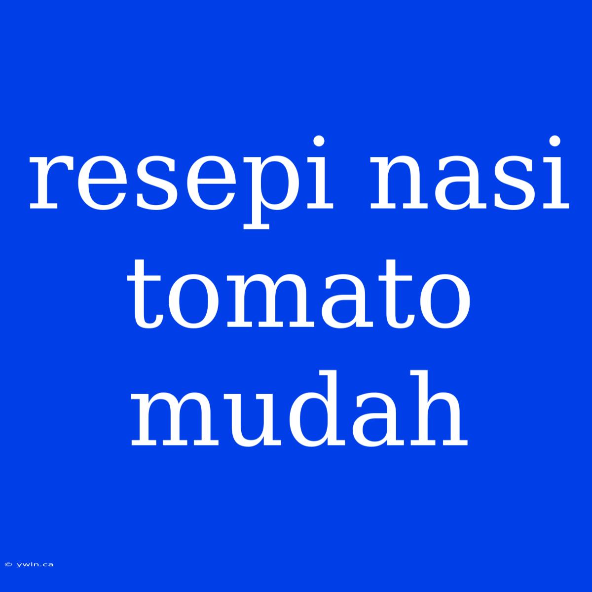 Resepi Nasi Tomato Mudah