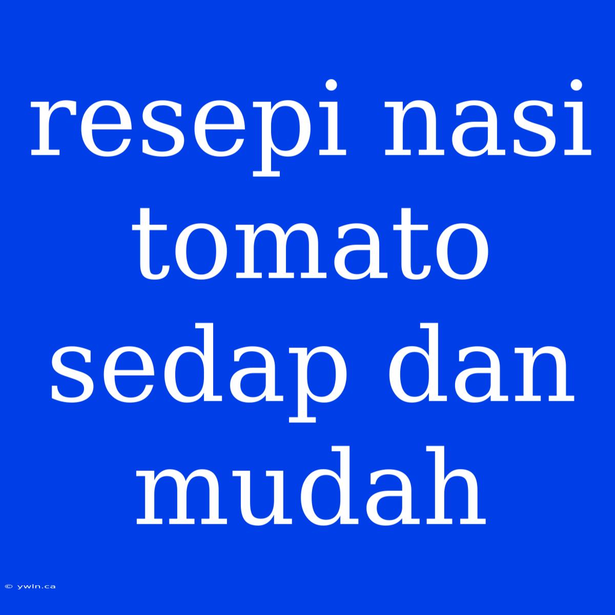 Resepi Nasi Tomato Sedap Dan Mudah