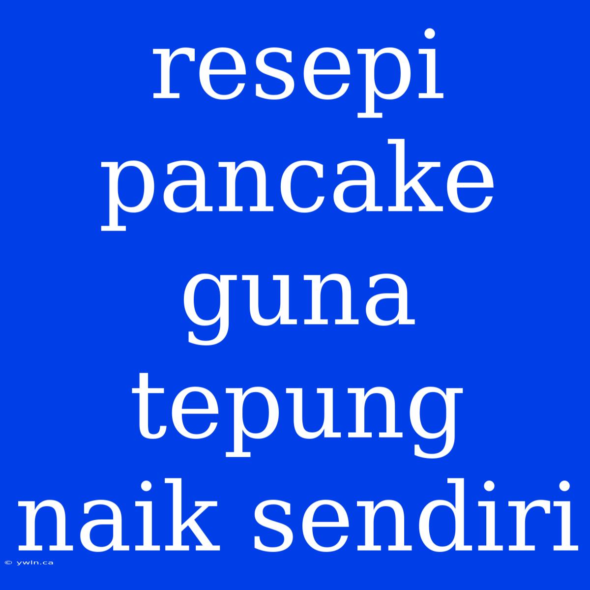 Resepi Pancake Guna Tepung Naik Sendiri