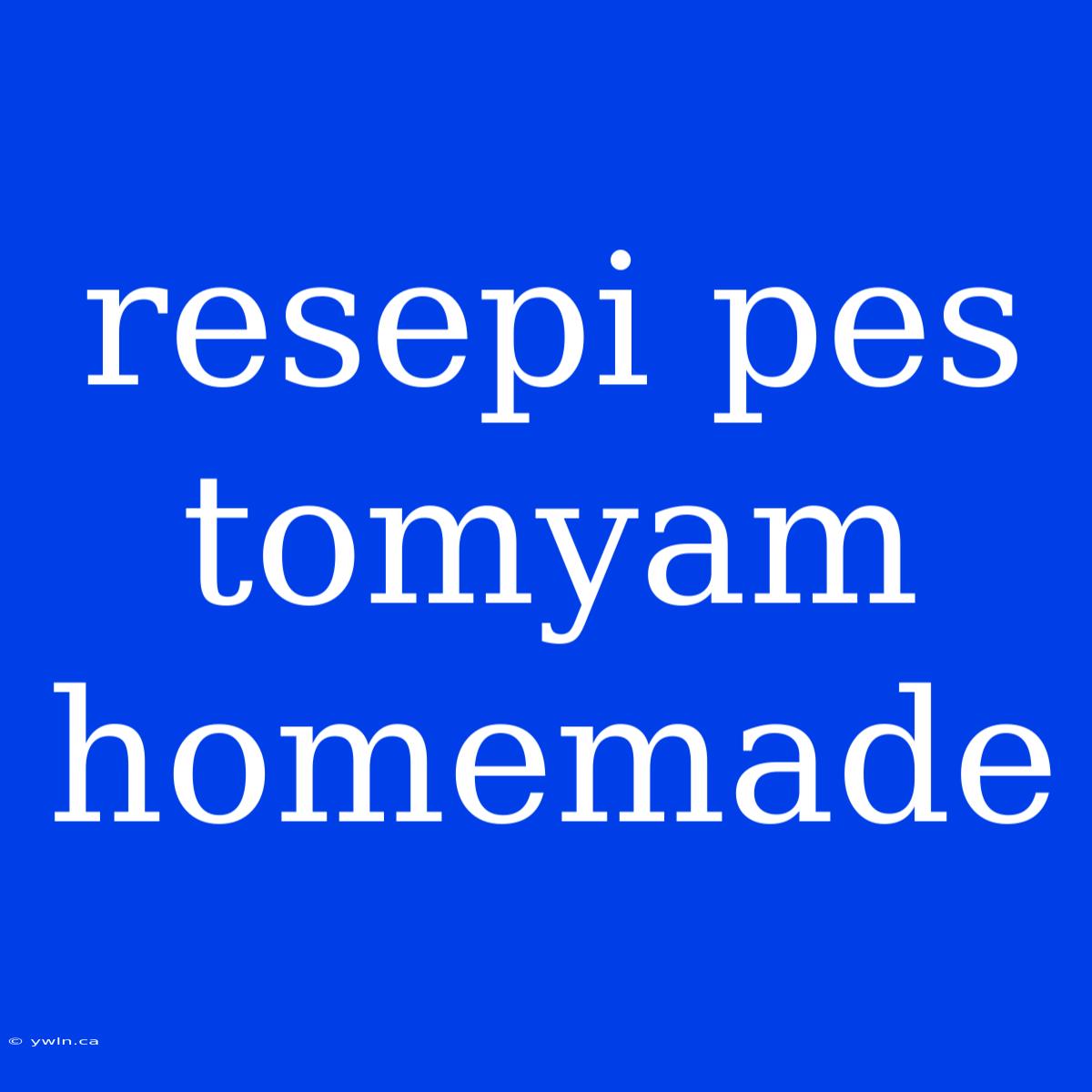 Resepi Pes Tomyam Homemade