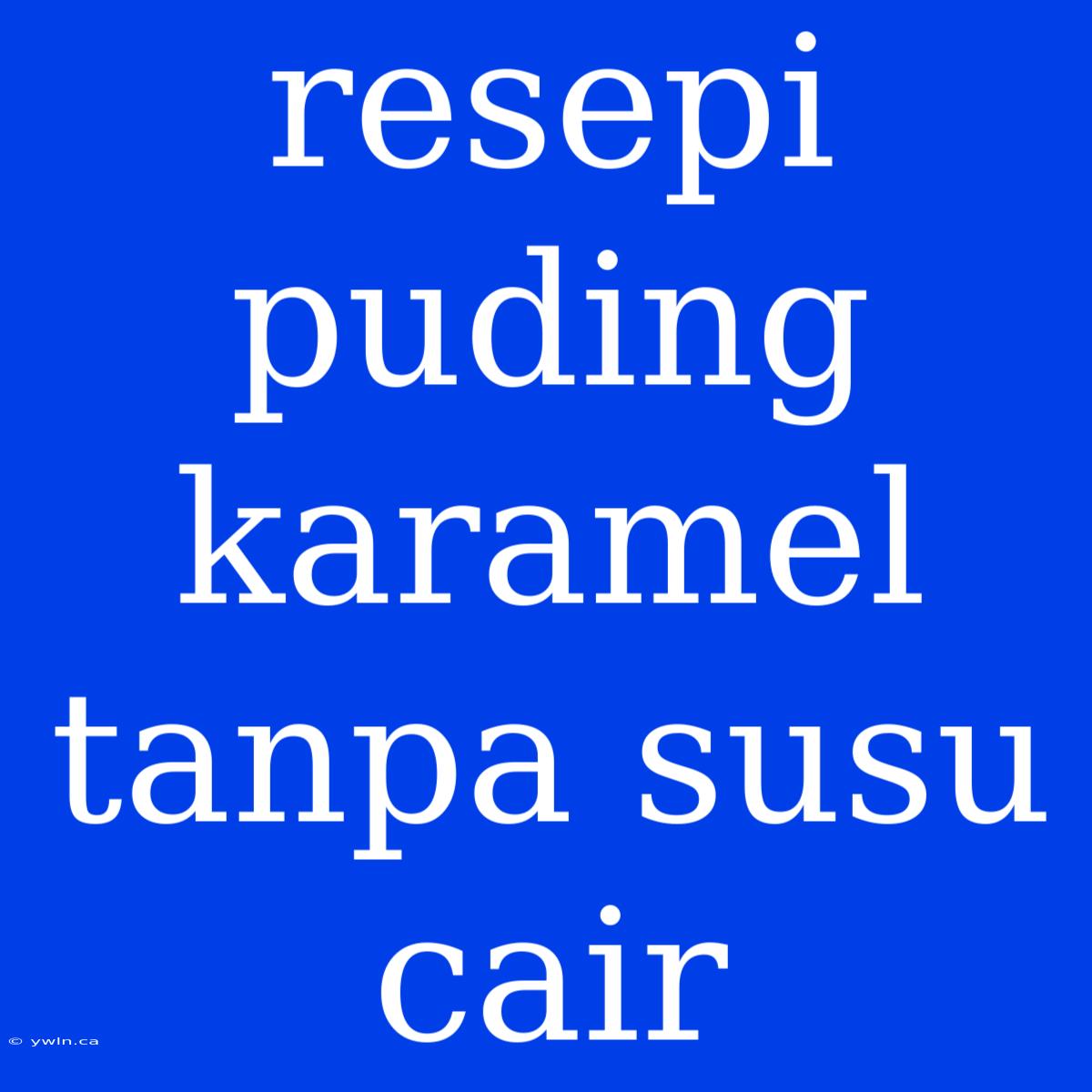 Resepi Puding Karamel Tanpa Susu Cair