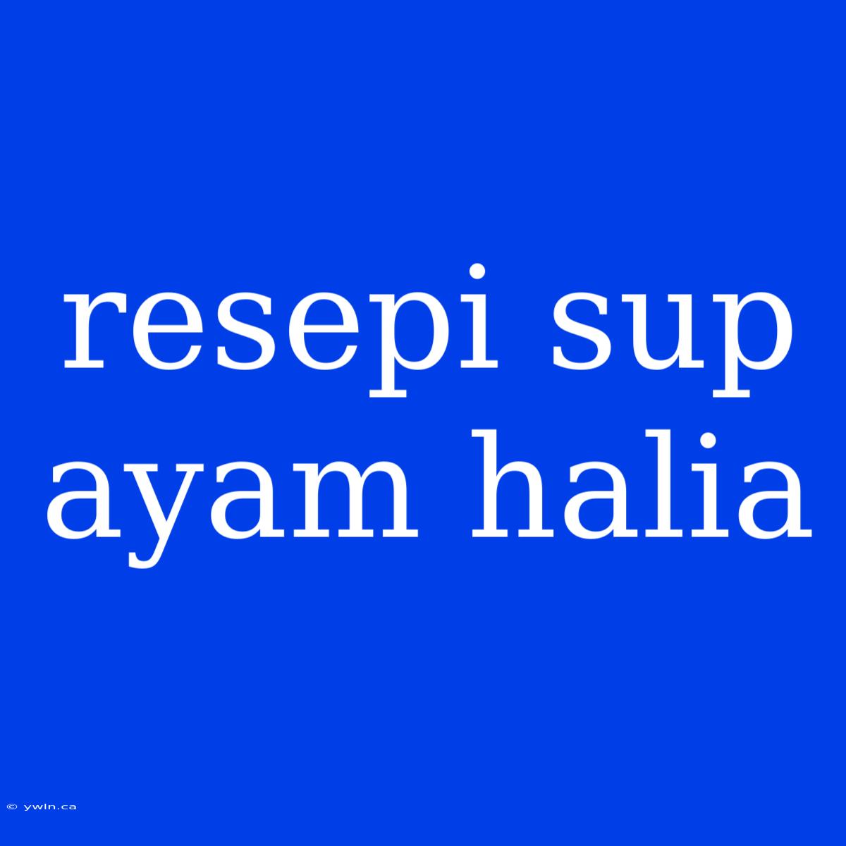 Resepi Sup Ayam Halia