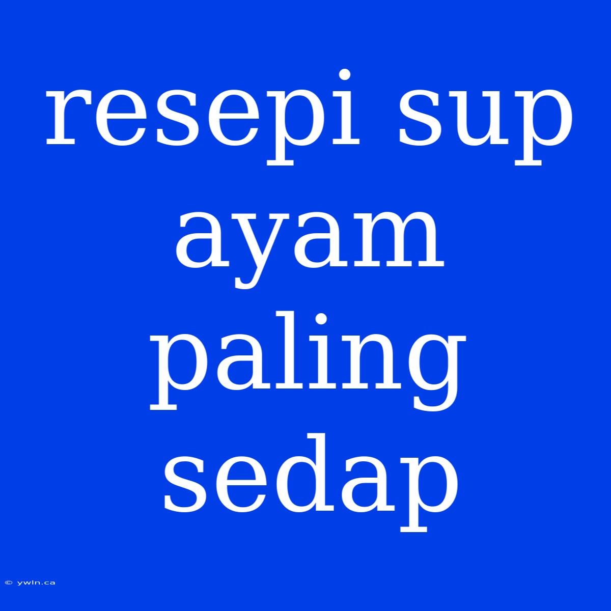 Resepi Sup Ayam Paling Sedap