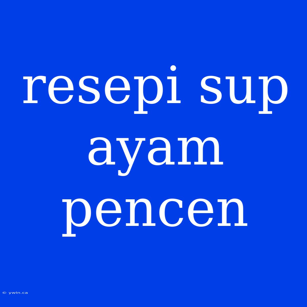 Resepi Sup Ayam Pencen