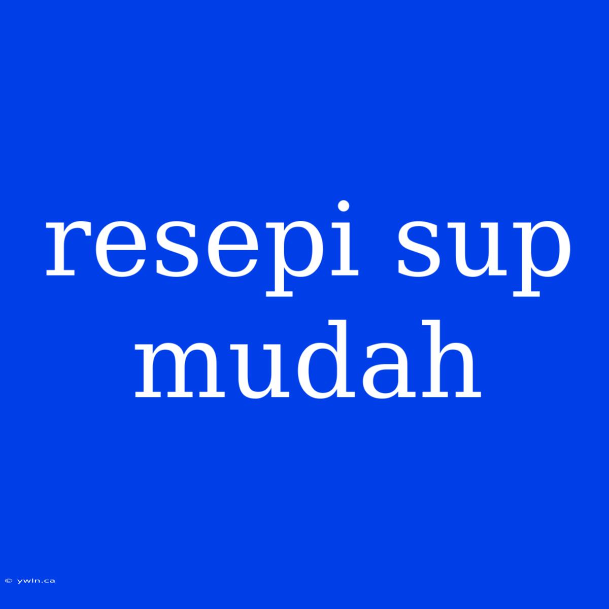 Resepi Sup Mudah