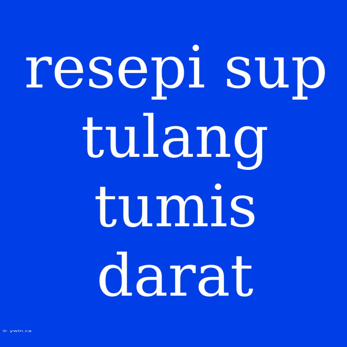 Resepi Sup Tulang Tumis Darat