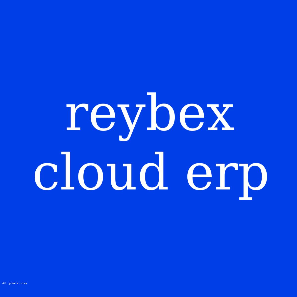 Reybex Cloud Erp