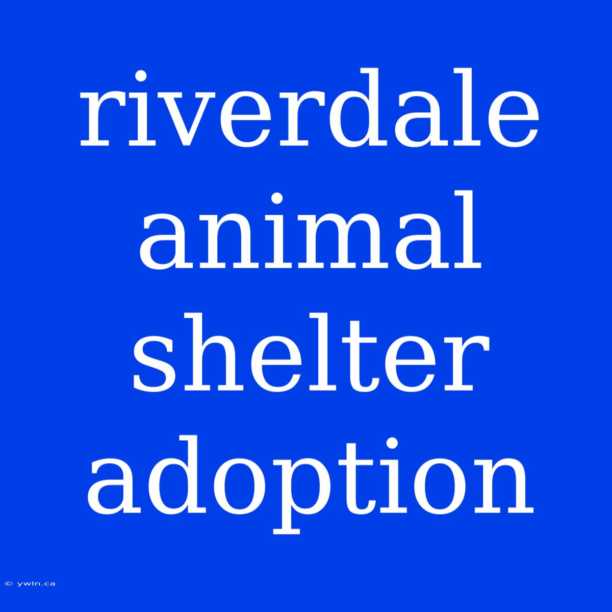 Riverdale Animal Shelter Adoption