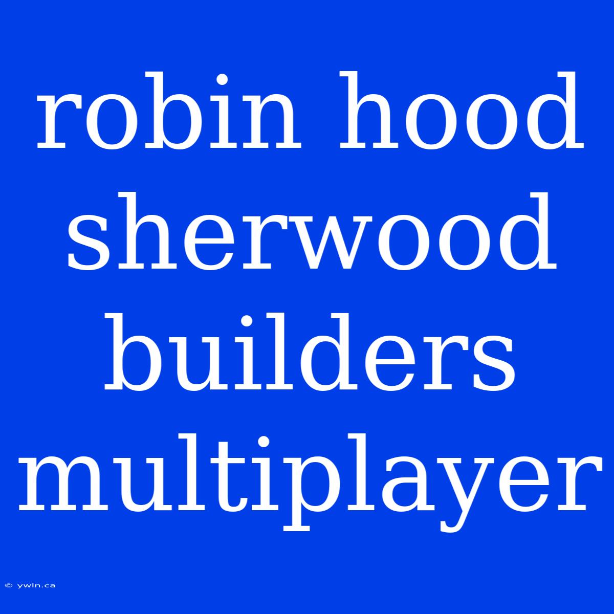 Robin Hood Sherwood Builders Multiplayer